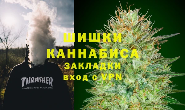 шишки Алзамай