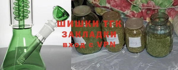 шишки Баксан